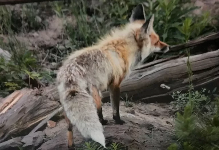 Saguache County Clerk & Recorder Home Saguache County Clerk and Recorder